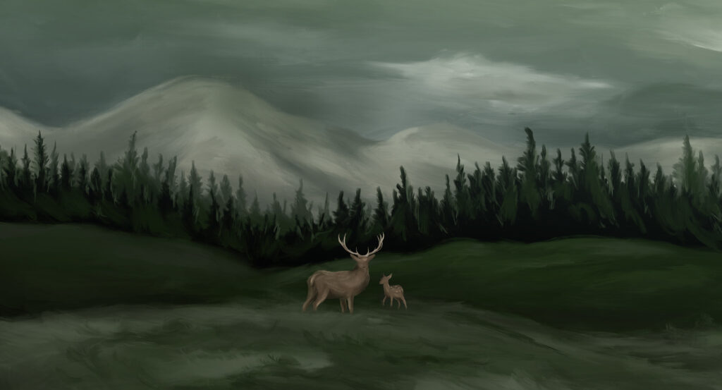 Hospital of the North- Annual Gratitude Report Illustration Royal Alexandra Hospital Foundation - ANVL Creative